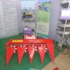 Exhibition in Gwalior Trade Fair