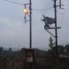 Electric Pole in Gwalior