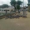 Group of Pigeon birds near to Mecca Masjid, Hyderabad