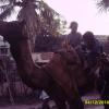 Camel Riding at Hyderabad