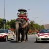 Drive from Lucknow to Mumbai - Jaipur