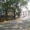 Road Way to Cochin University (CUSAT), Ernakulam