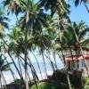 A distant view of Ocean Hues & the sea at Kannur