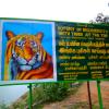 Kalakad-Mundanthurai Tiger Reserve Forest, Karaiyar