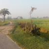 road towards  khaupali village