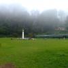 Park with heavy mist in Kodaikanal