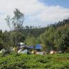 The Hut Tents at Kotagiri, Nilgiris, Tamilnadu