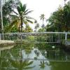Coconut creek resort security gate - kumarakom
