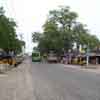 Ettayapuram main road covered by trees in Thoothukudi district