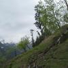 On the way of Rohtang