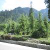 On the way of SOLANG VALLEY