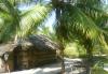 A hut in Lakshadweep