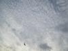 A Bird Flying Alone on the Space, Mangadu