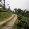 Manjolai Road in Tirunelveli