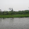 Thamirabarani River in Mukkudal