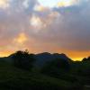 Evening Scene from Nature at Munnar