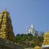 Murudeshwara in between two golden temples