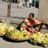 Banana seller at Mysore