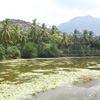 Padmanabhapuram Lake view