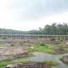 Thiruparappu river view...