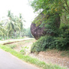 Big rock between the trees at Mathur near Nagercoil