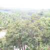 Aruvikarai village view from Mathur Bridge...
