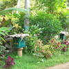 Beehive in Pooviyoor Village near Kanyakumari