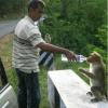 An awesome friendship in Ooty
