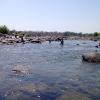 Taking a Dip in Betwa River