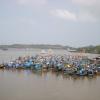 Boats in Panaji