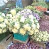 Vegetable Market - Panruti