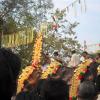 Thechikott Ramachandran carrying the tidamb of Bhagavathy