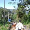 Forest Way to Reach Sabarimala Ayyappan Temple