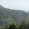 view from hill point in yercaud