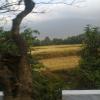 A Road Side View at Tenkasi, Tirunelveli