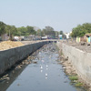 Canal at Tuticorin district