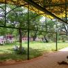Rajaji Park in Thoothukudi
