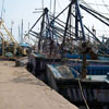 A view of Fishing harbour at Tuticorin district