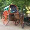 Horse chariot for passengers at Sankarankoil in Nellai district
