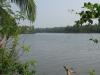 Back waters in vadanapally