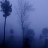 Mist in Vagamon