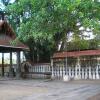Janardhanaswamy Temple - Varkala