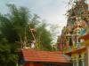 Veezhinathar Temple Kumbabishekam - Vishnupuram