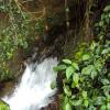 Water flowing from the Mountains in Wayanad, Kerala