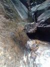 Clear water of Yercaud