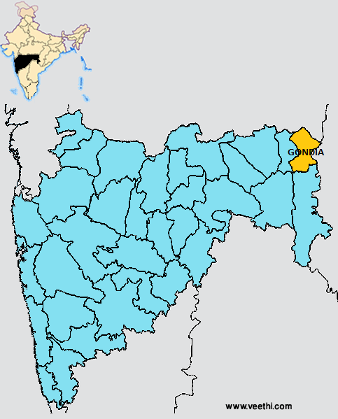 Image result for gondia maharashtra