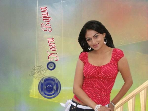 Neeru Bajwa Hot Pics | Veethi