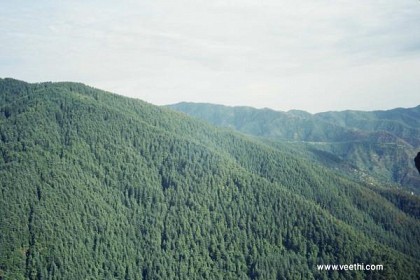 Glen - Scenic Beauty of Green Valley, Shimla