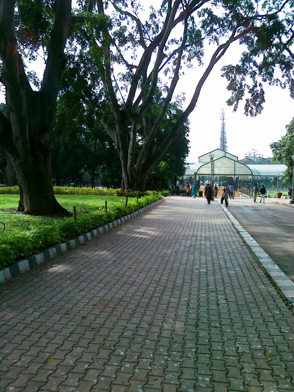 Path view of Glass House in Lal Bagh | Veethi