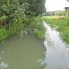 Natural stream supplying water for paddy fields